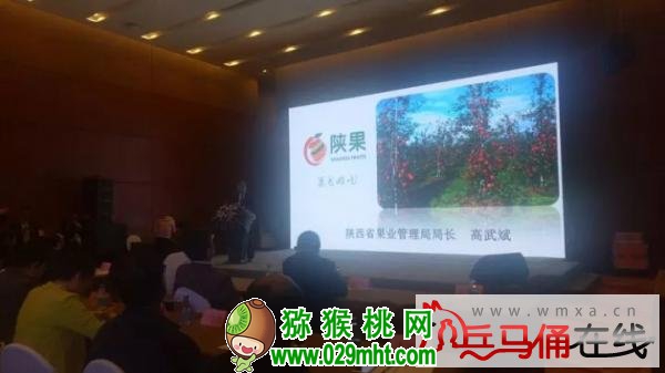 PG国际官方网站图片
