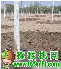 PG国际官方网站图片