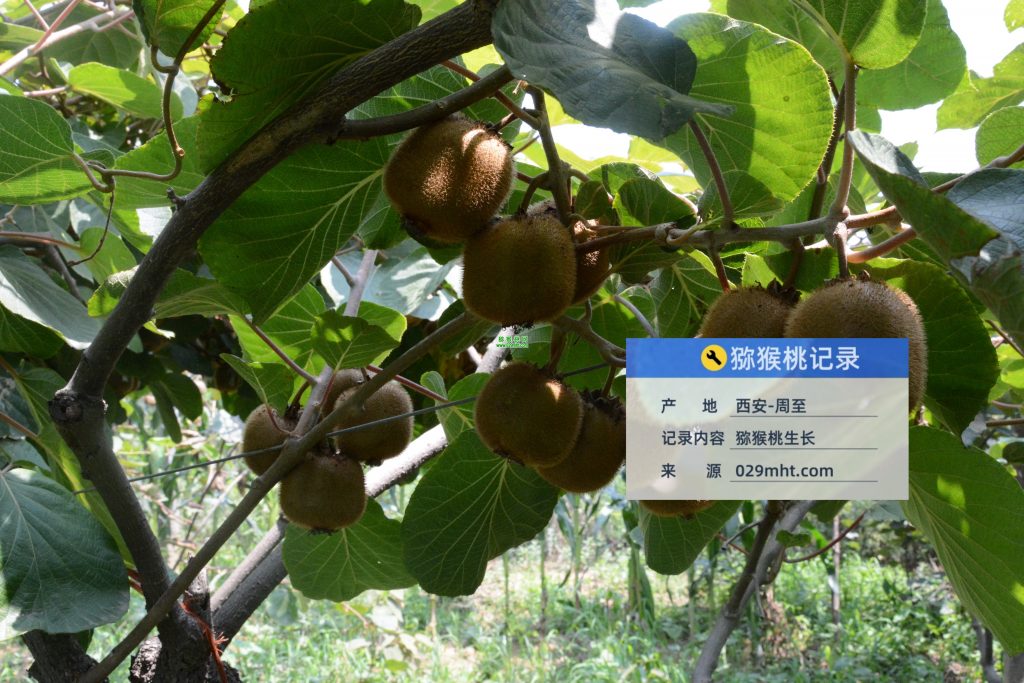 PG国际官方网站图片