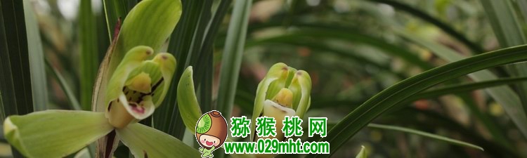PG国际官方网站图片