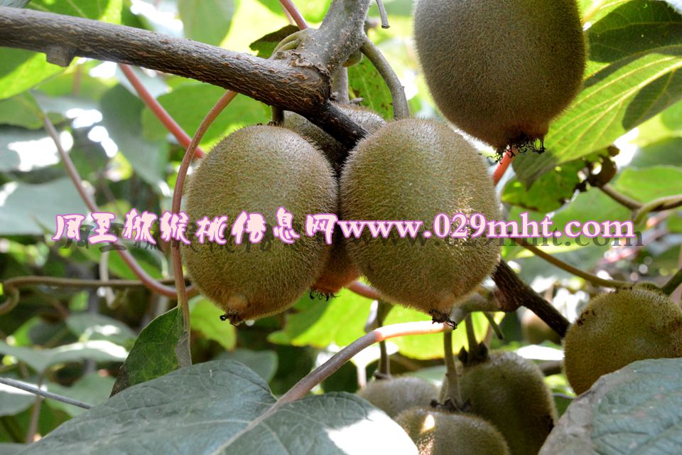 PG国际官方网站图片