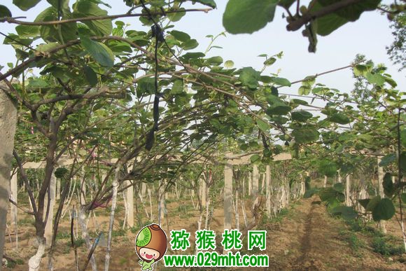 PG国际官方网站图片