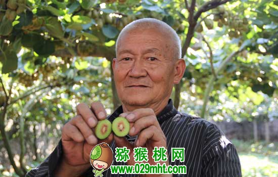 PG国际官方网站图片
