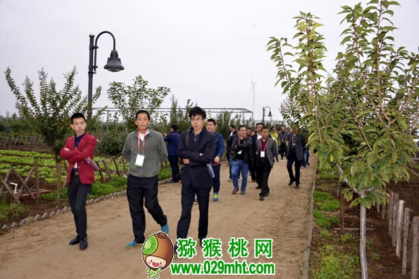 PG国际官方网站图片