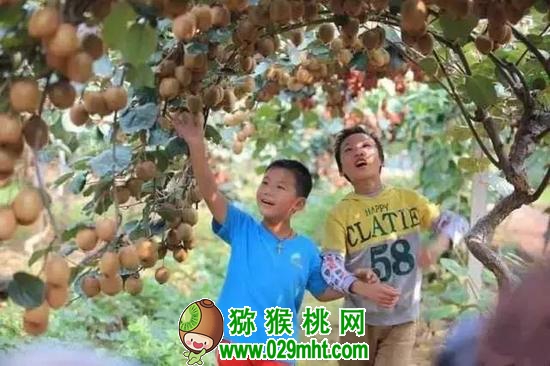 PG国际官方网站图片