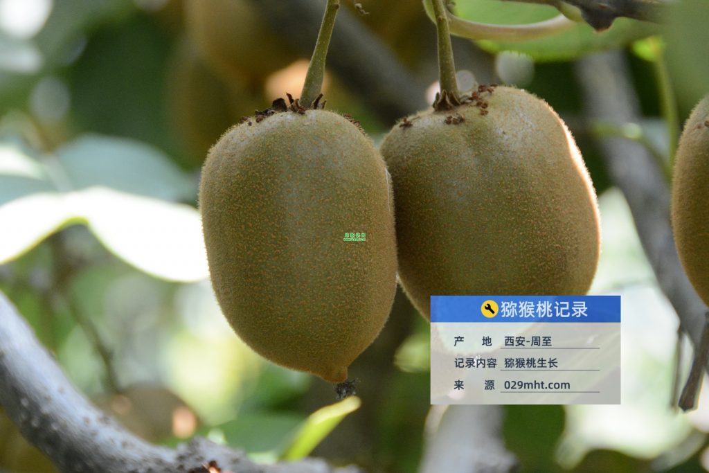 PG国际官方网站图片