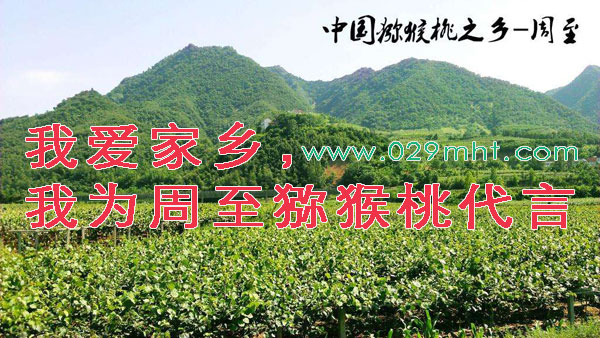 我为周至PG国际猕猴桃代言