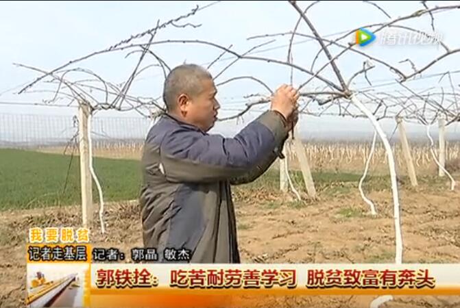 PG国际官方网站图片