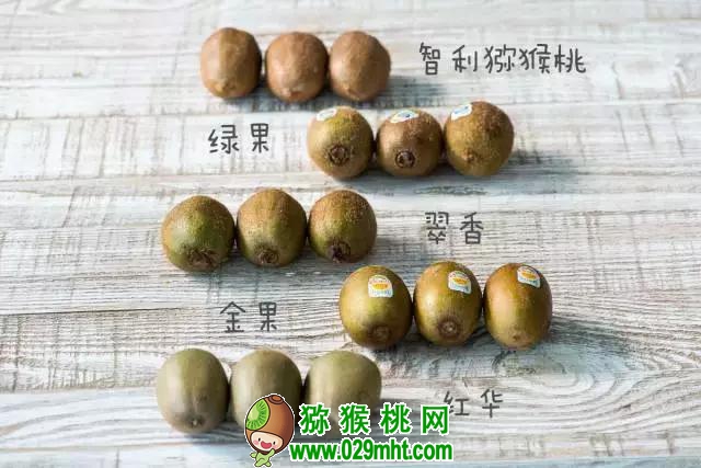 PG国际官方网站图片