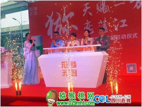 PG国际官方网站图片