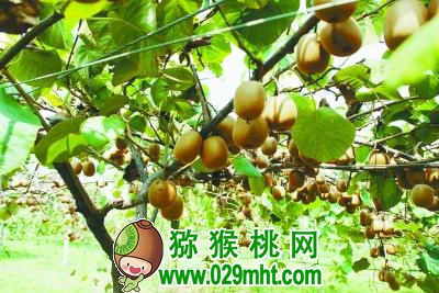 PG国际官方网站图片