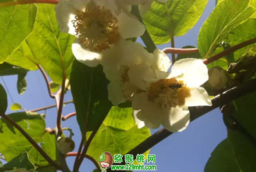 PG国际官方网站图片