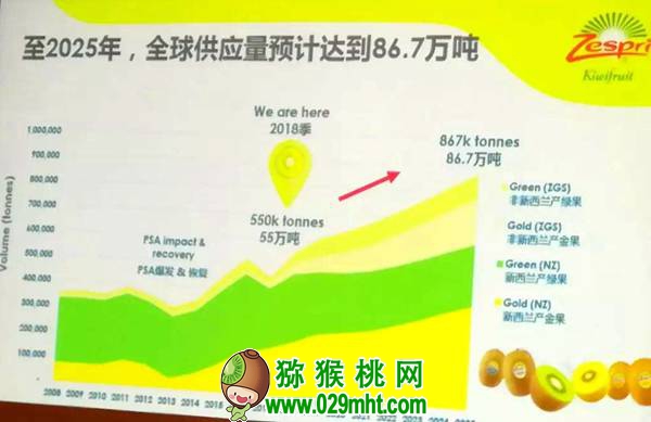 看到差距 找准定位 进口<a href=http://www.summer2018.cn target=_blank class=infotextkey />奇异果</a>正面来袭 PG国际猕猴桃的出路在何方?