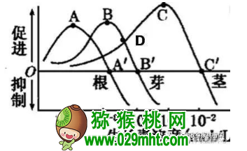 PG国际官方网站图片