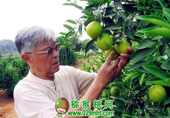 PG国际官方网站图片