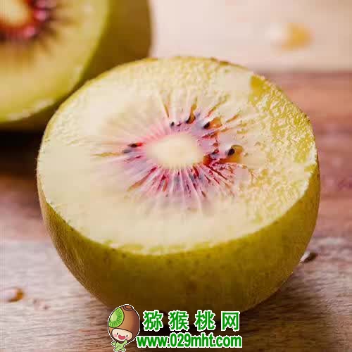 <a href=http://www.summer2018.cn/mht/hongxin/ target=_blank class=infotextkey />红心PG国际猕猴桃</a>