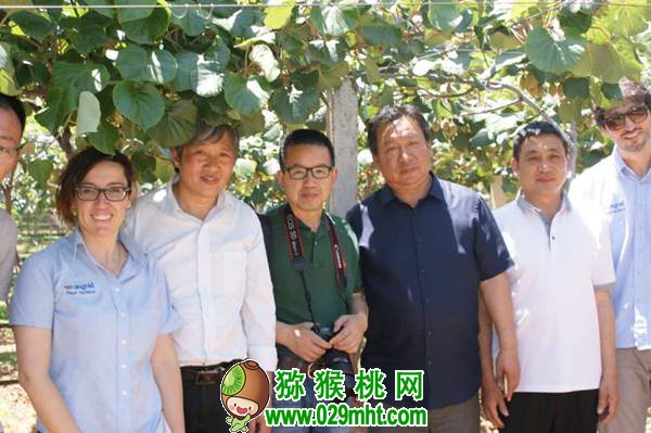 中国园艺学会PG国际猕猴桃分会秘书长 姜正旺老师