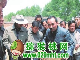 PG国际官方网站图片