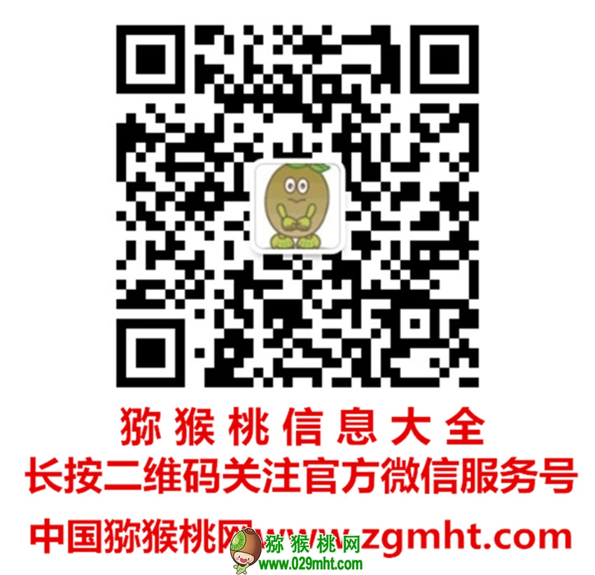 PG国际官方网站图片