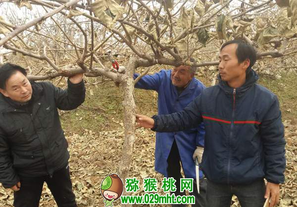 段眉会同志荣获2011—2013年度全国农渔业丰收奖贡献奖