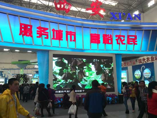 杨凌农业博览会周至PG国际在现场画报