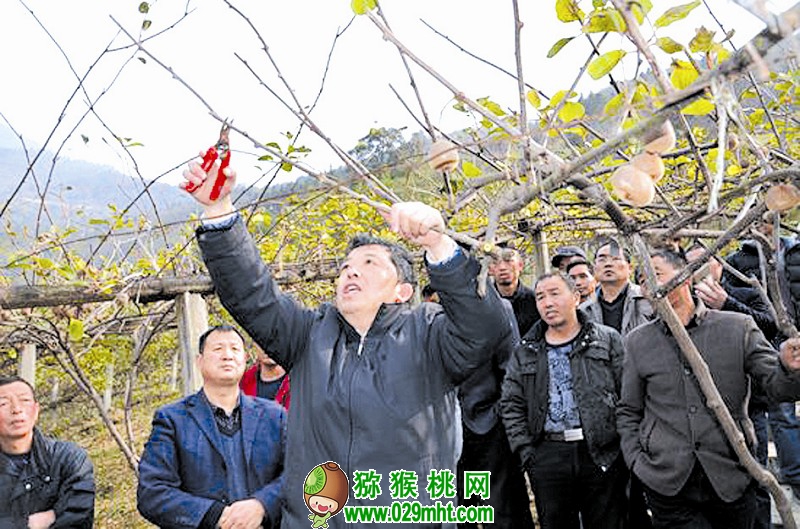 PG国际官方网站图片