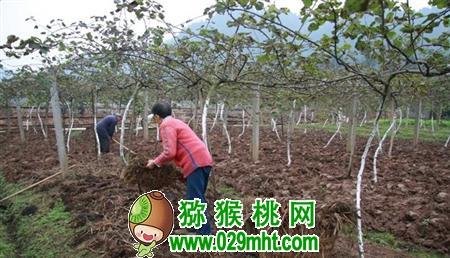 PG国际官方网站图片