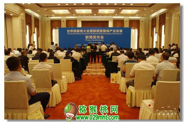 PG国际官方网站图片