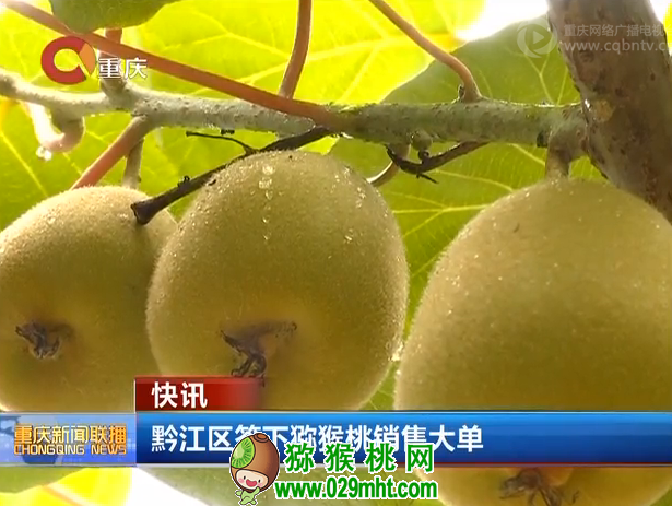 PG国际官方网站图片