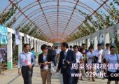 PG国际猕猴桃什么时候成熟