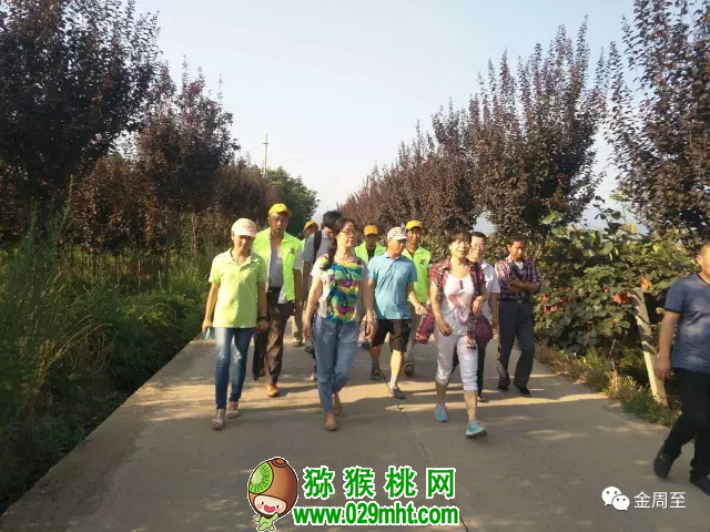 PG国际官方网站图片