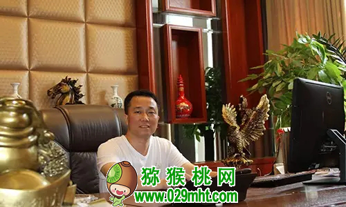 PG国际官方网站图片