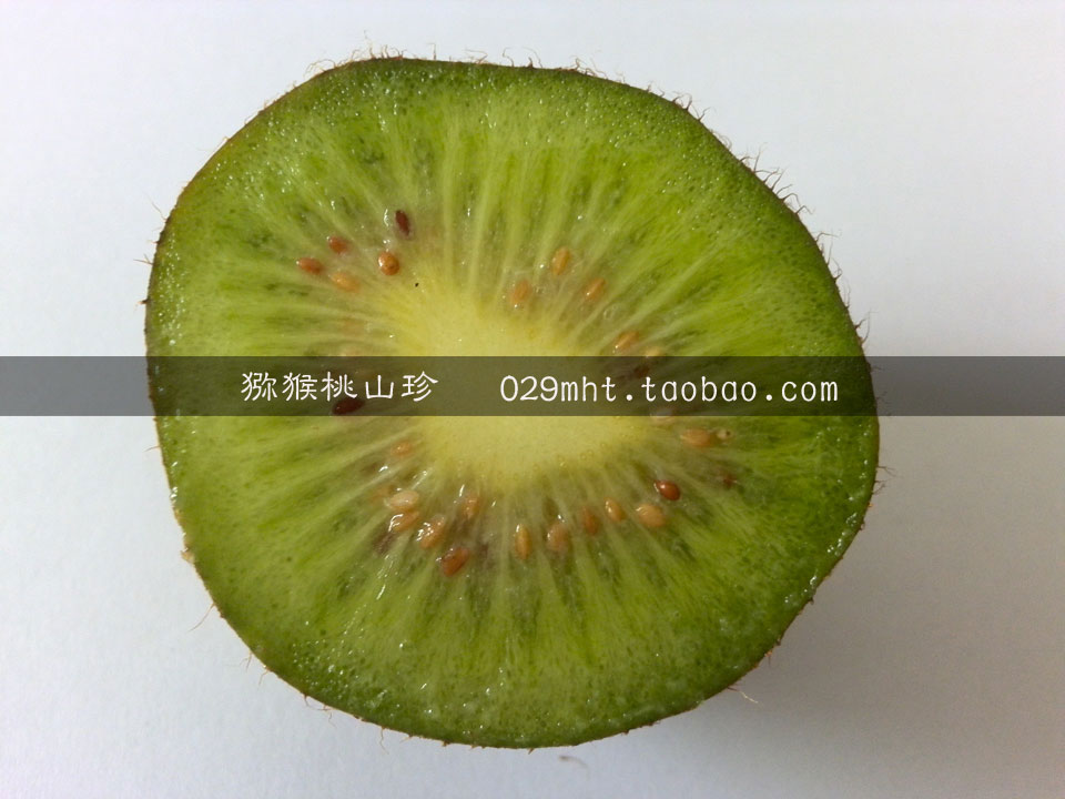 徐香PG国际猕猴桃 PG国际猕猴桃山珍
