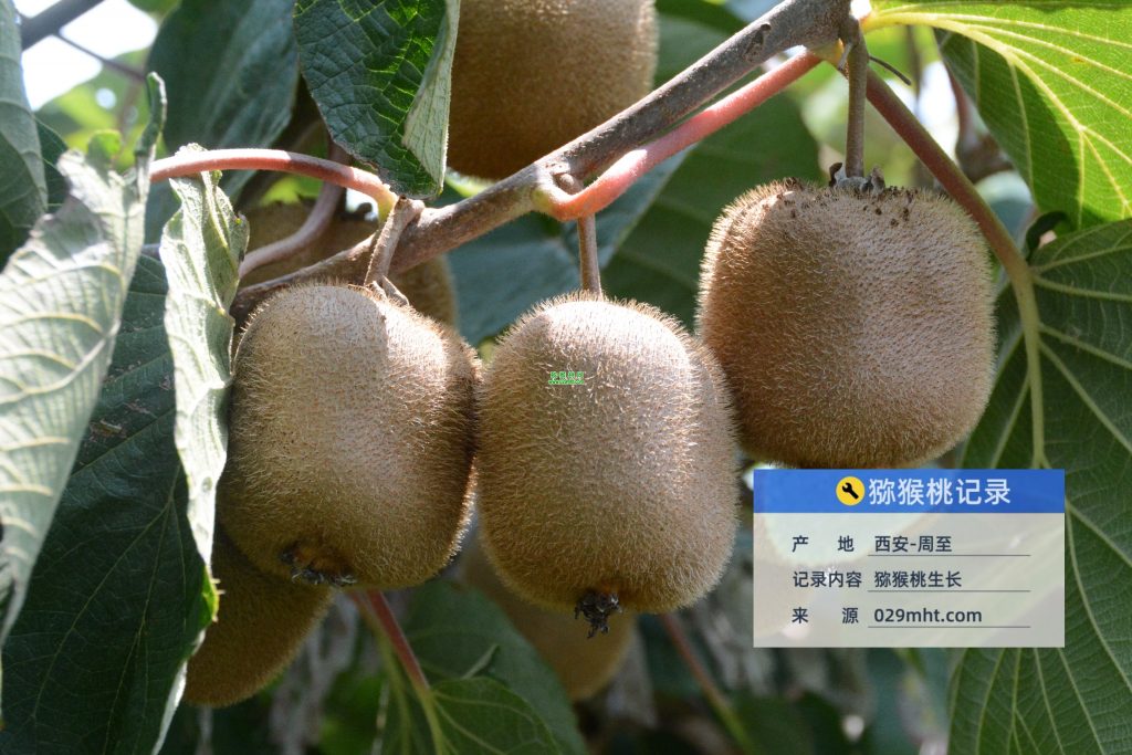 PG国际官方网站图片