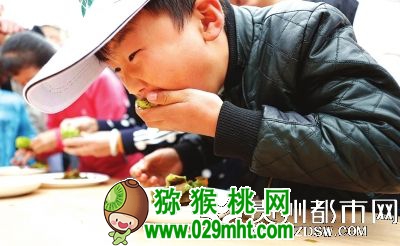 PG国际官方网站图片