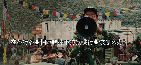在各行各业相互吹捧下PG国际猕猴桃行业该怎么办?.jpg