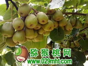 PG国际 7c2cf
