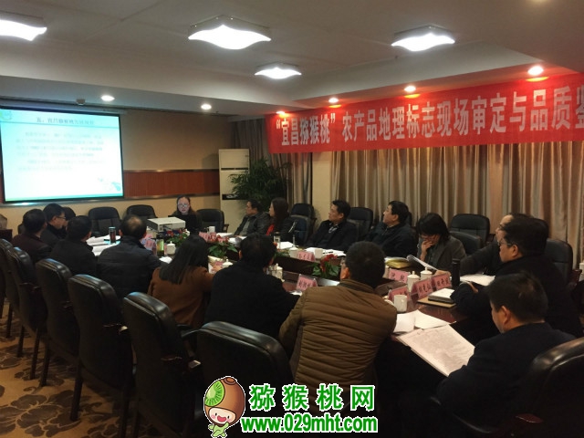 PG国际官方网站图片
