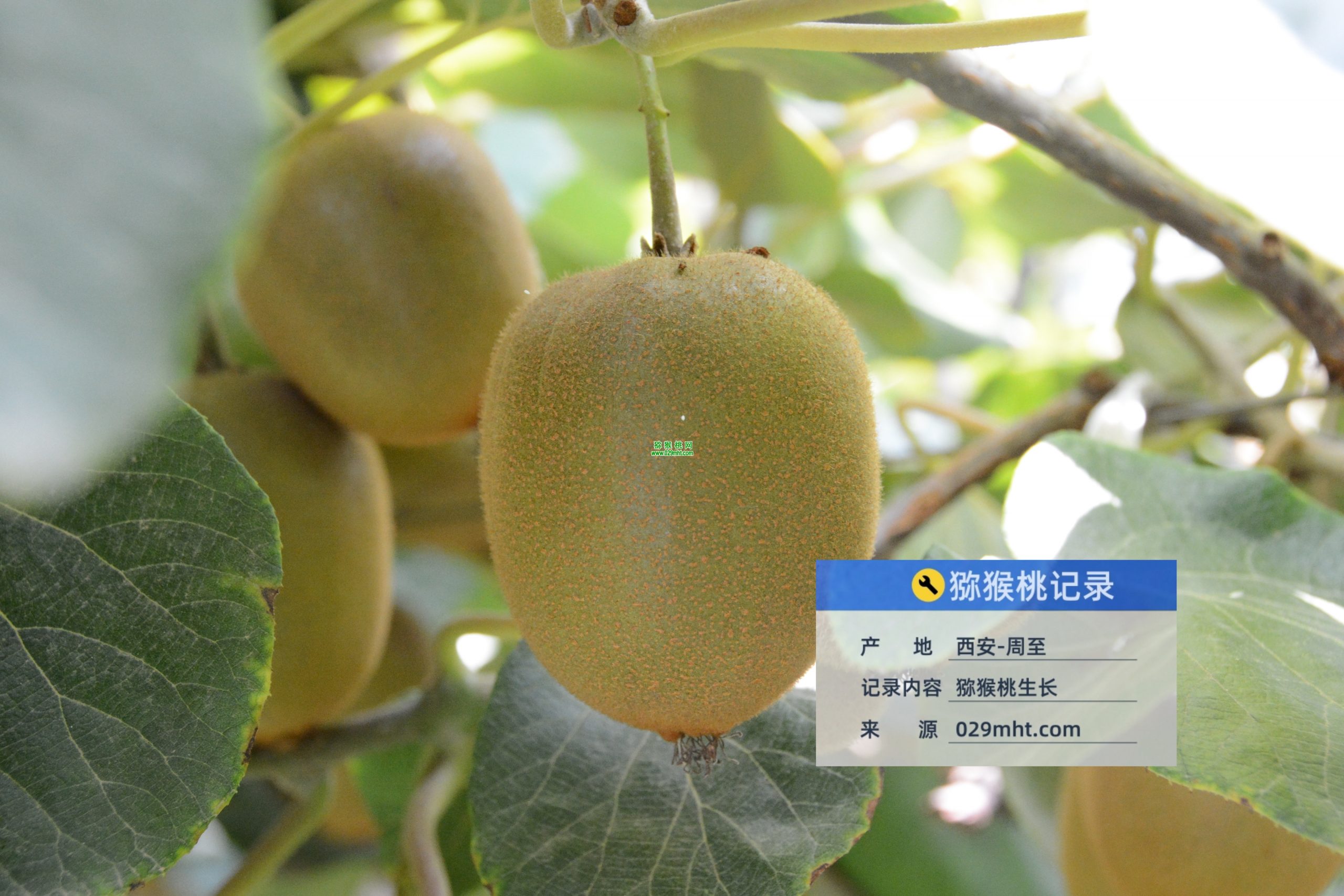 PG国际 28f84