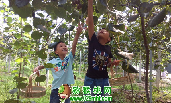 PG国际官方网站图片