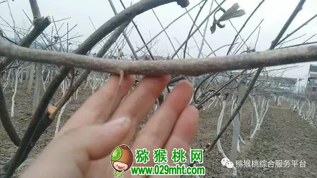 PG国际官方网站图片