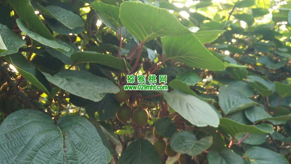 PG国际官方网站图片