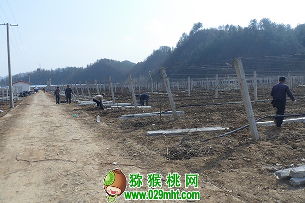 PG国际官方网站图片