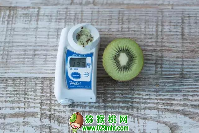 PG国际官方网站图片