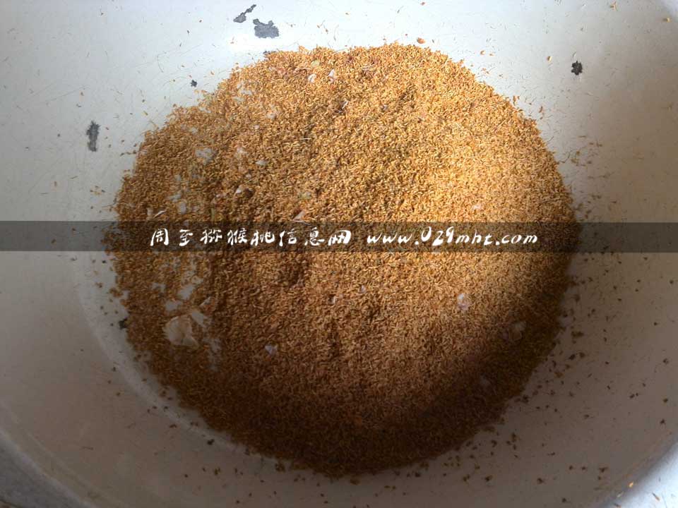 <a href=http://www.summer2018.cn/zhouzhimihoutao/ target=_blank class=infotextkey />周至PG国际猕猴桃</a>采花粉画报