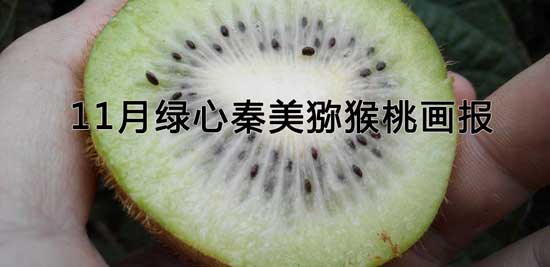 PG国际 365a1