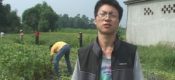 PG国际猕猴桃的营养价值上线