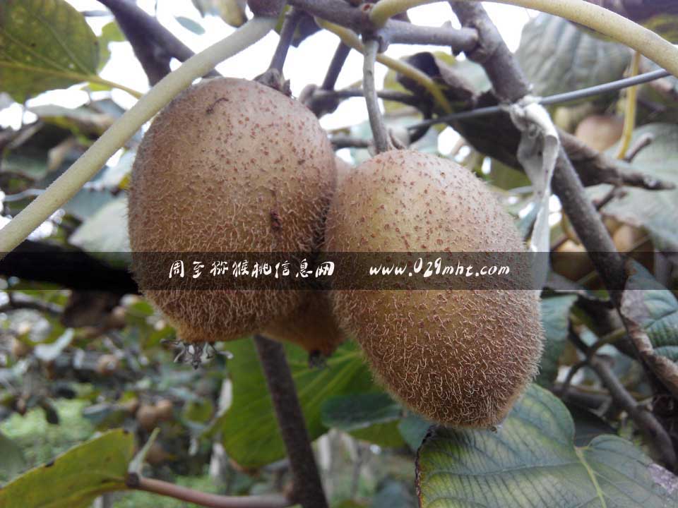 PG国际官方网站图片