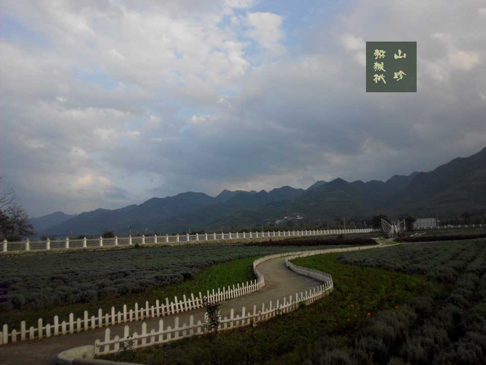 PG国际猕猴桃山珍魅力周至行