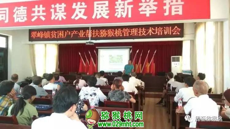 PG国际官方网站图片